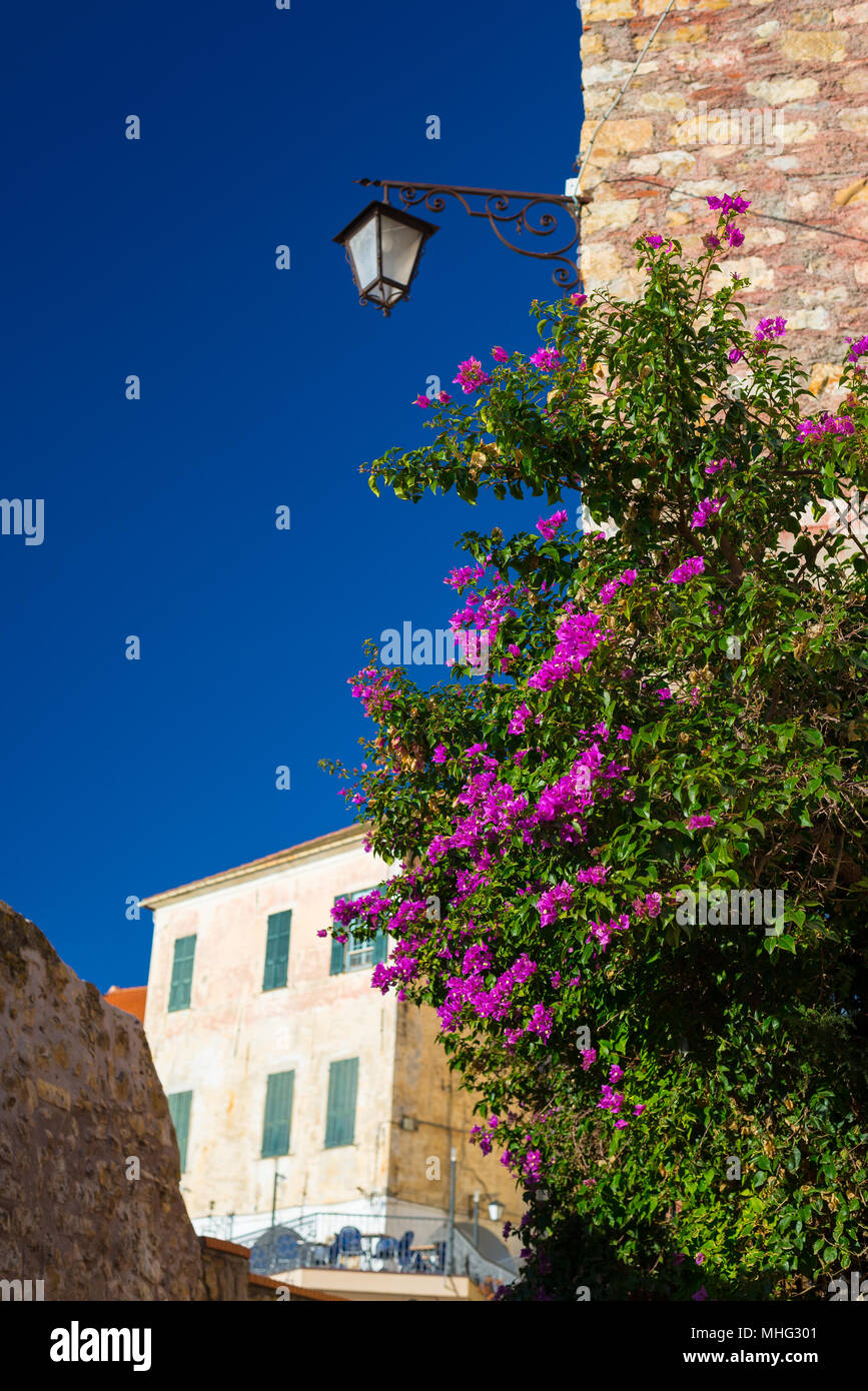 Die Altstadt von Cervo, Ligurien, Italien, mit seinen bunten Gassen. Stockfoto