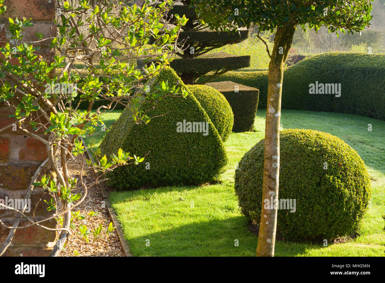 Felley Priory Gardens, Felley Priory, Underwood, Nottinghamshire, Großbritannien. Feder, April 2018. Stockfoto