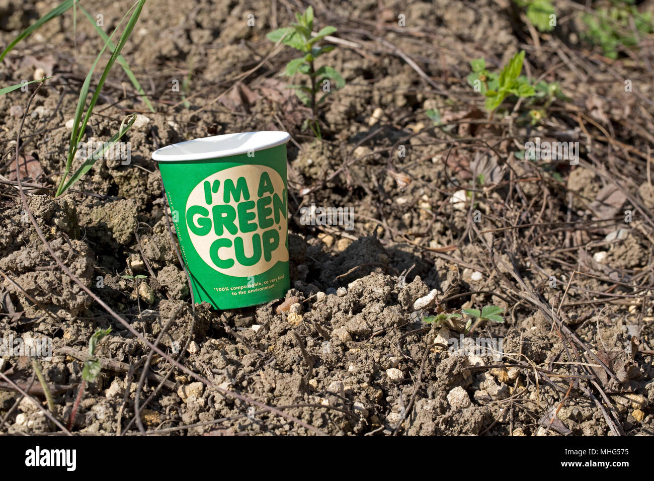 100% kompostierbar Grün recyclebare Kaffeetassen mit kein Kunststoff hergestellt Stockfoto