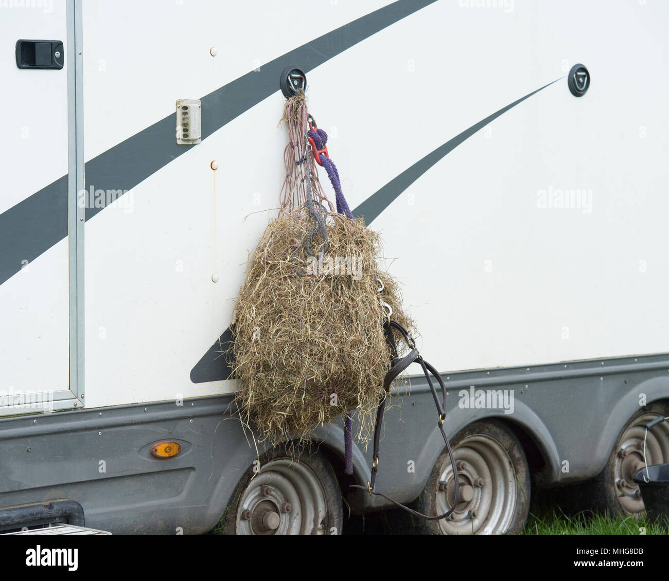 Haynet auf einem Pferd box Stockfoto