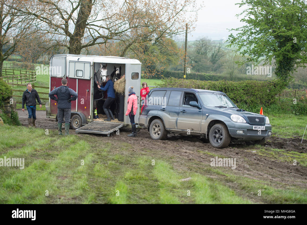 Entladen einer Pferdebox im Schlamm Stockfoto