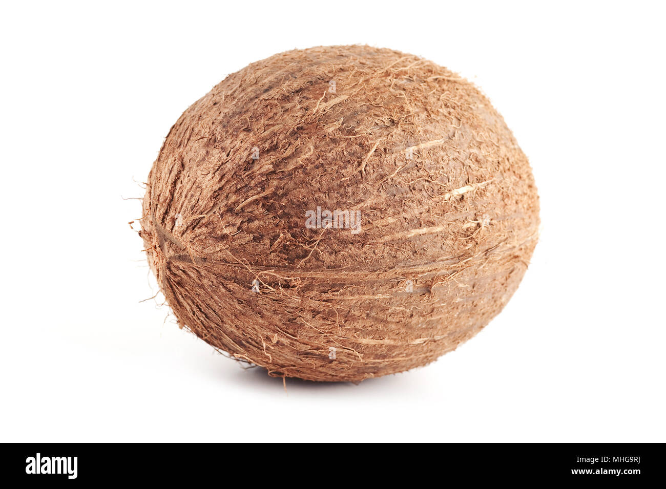 Single Kokos isoliert auf einem weißen Hintergrund. Stockfoto