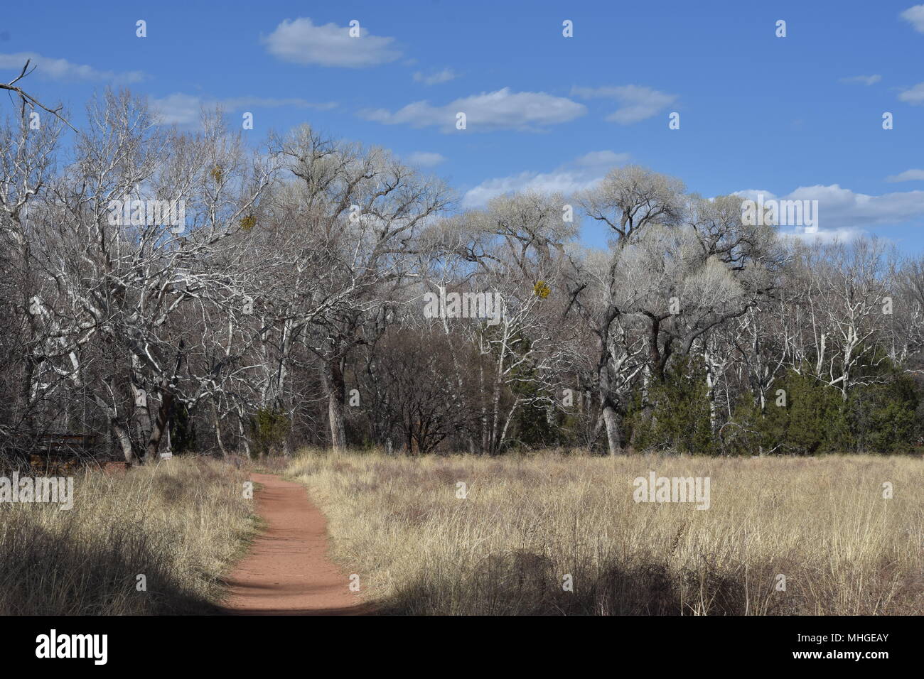 Ein ruhiger Spaziergang durch den Red Rock State Park Stockfoto