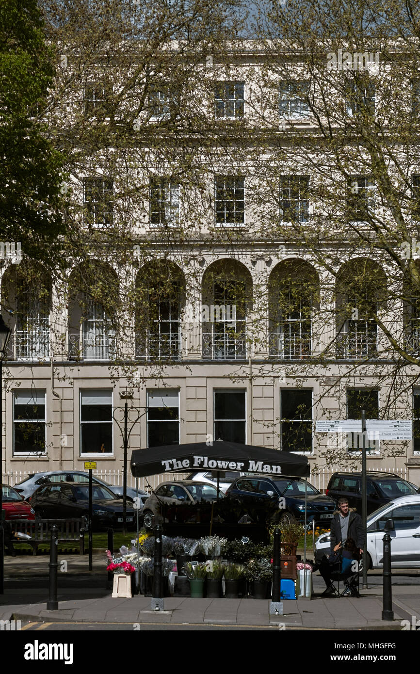Straße Blume Verkäufer mit Regency Stil städtische Ämter im Hintergrund, Cheltenham, Gloucestershire Stockfoto