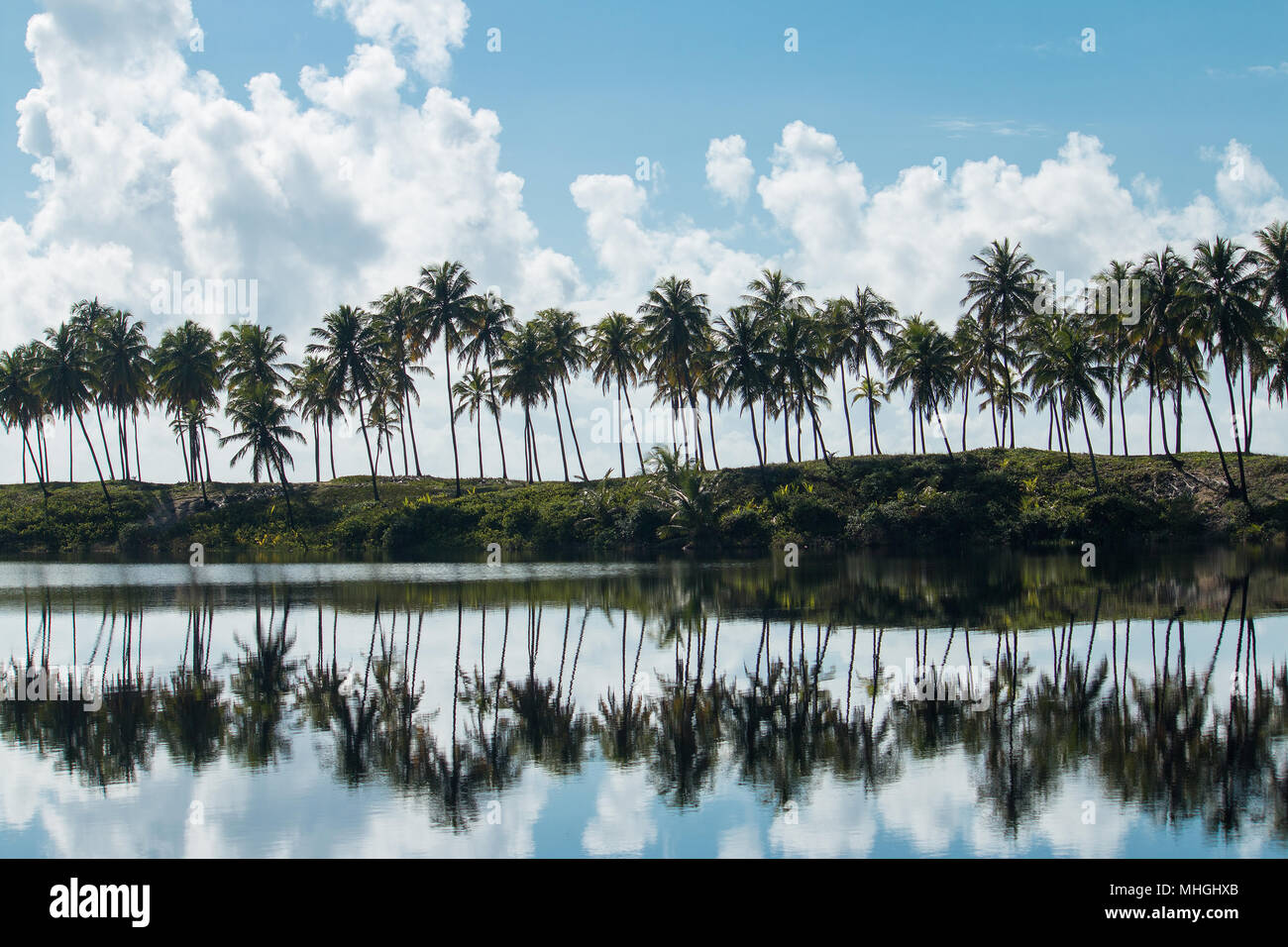 Kokosnussbäume mit Spiegelung im Wasserspiegel des Sees. Tropische Landschaft. Stockfoto