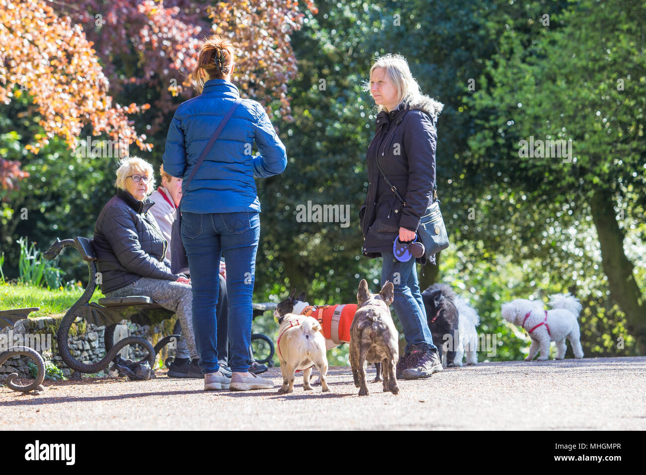 Eine Gruppe von Frauen, die in einem Park mit ihrem Haustier Hunde Stockfoto