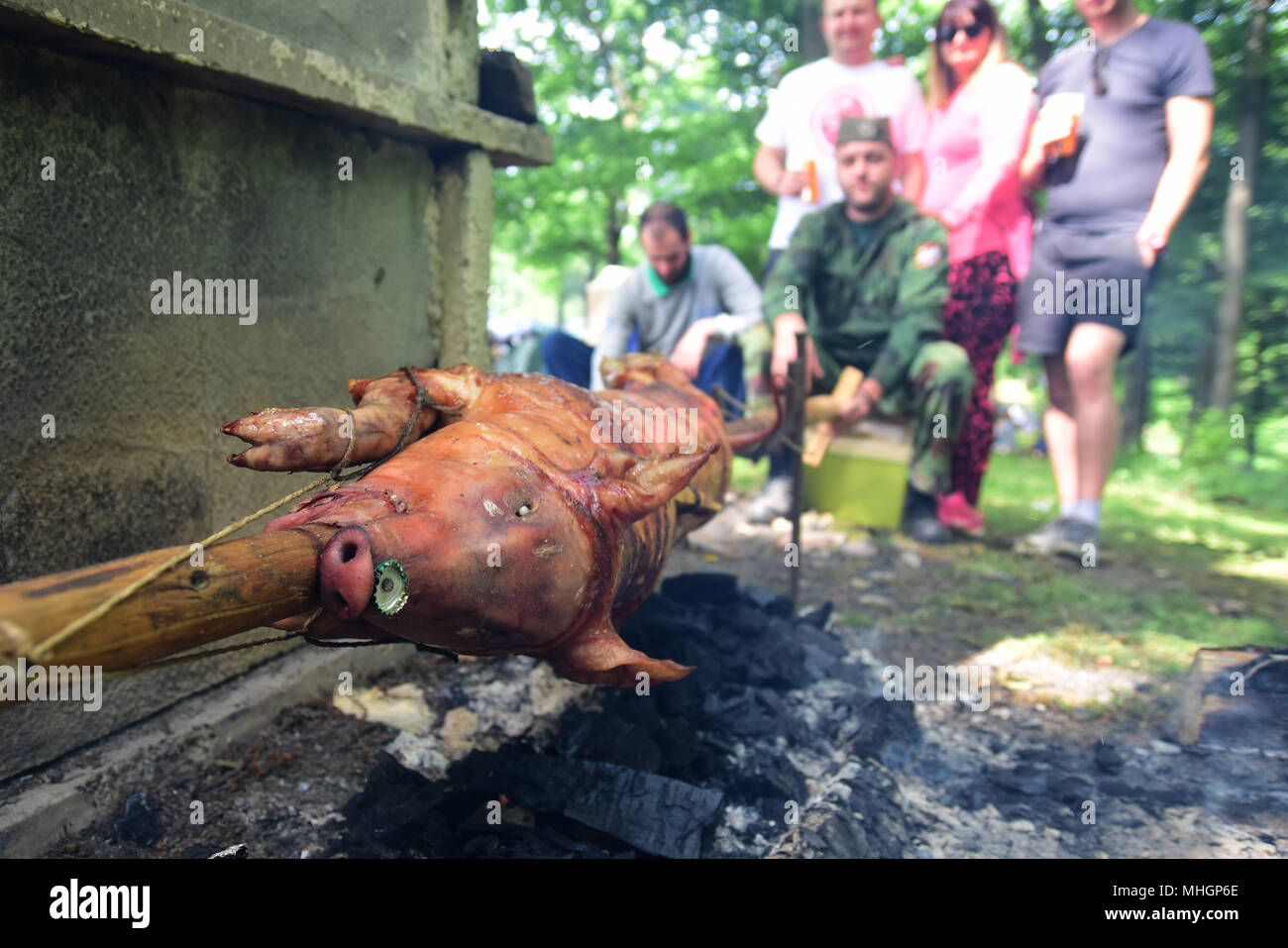 Serbien, in Novi Sad 01.05.2018 Internationale Arbeiter Tag in Serbien im Nationalpark Fruška Gora. In Serbien Dies ist die nationale Urlaub so serbische Arbeiter haben einen Tag weg und es in der Natur zu verbringen. es becam Tradition, vielleicht zuerst mit Grill in der Natur gefeiert wird. Grillen mit der Familie oder eine große Gruppe von Freunden mit viel Fleisch und viel Alkohol. Credit: Nenad Mihajlovic/Alamy leben Nachrichten Stockfoto