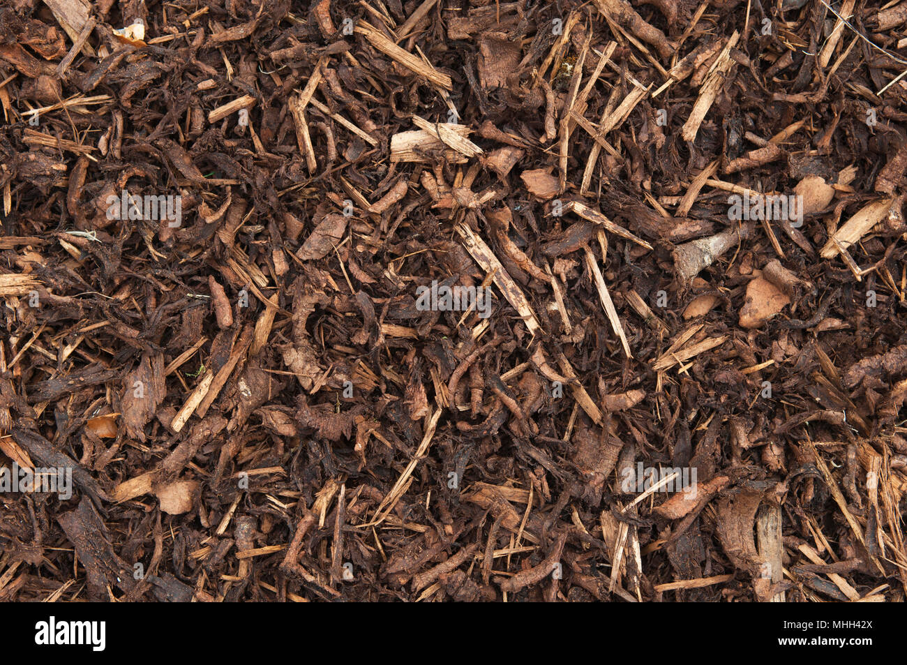 Bark Chips Stockfoto