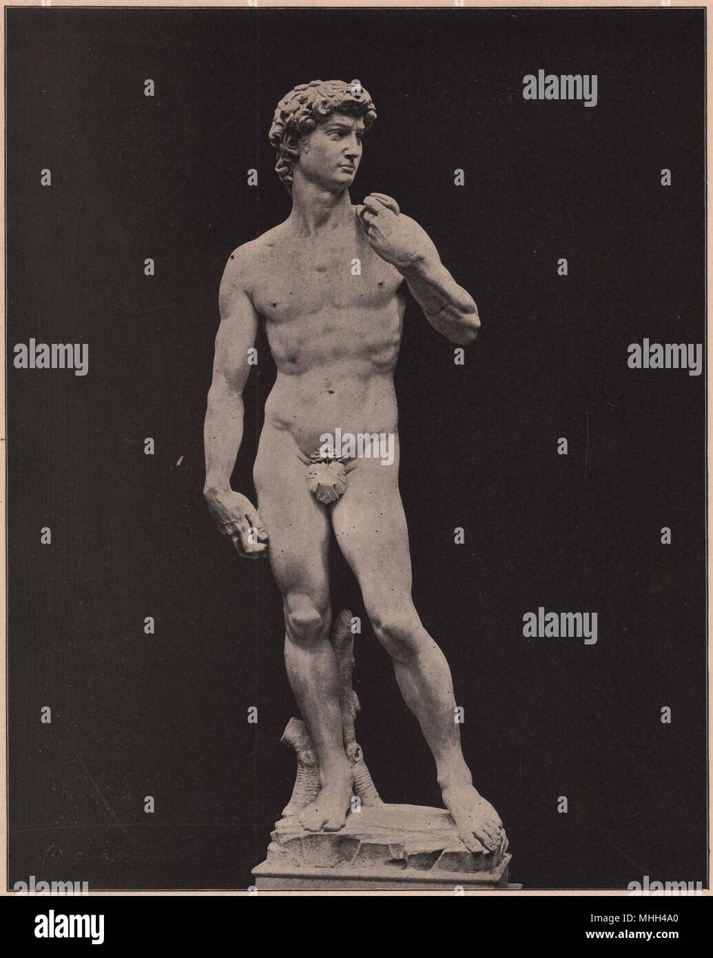 Statue des David (von Michael Angelo), Florenz Stockfoto