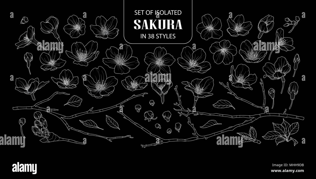 Eingestellt von isolierten Sakura in 38 Arten. Süße Hand gezeichnet Blume Vector Illustration nur weißer Umriss auf schwarzem Hintergrund. Stock Vektor
