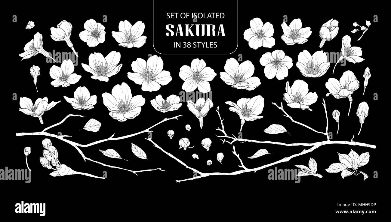 Eingestellt von isolierten weißen silhouette Sakura in 38 Arten. Süße Hand gezeichnet Blume Vector Illustration in weißen Fläche ohne Umriss auf schwarzem Hintergrund. Stock Vektor