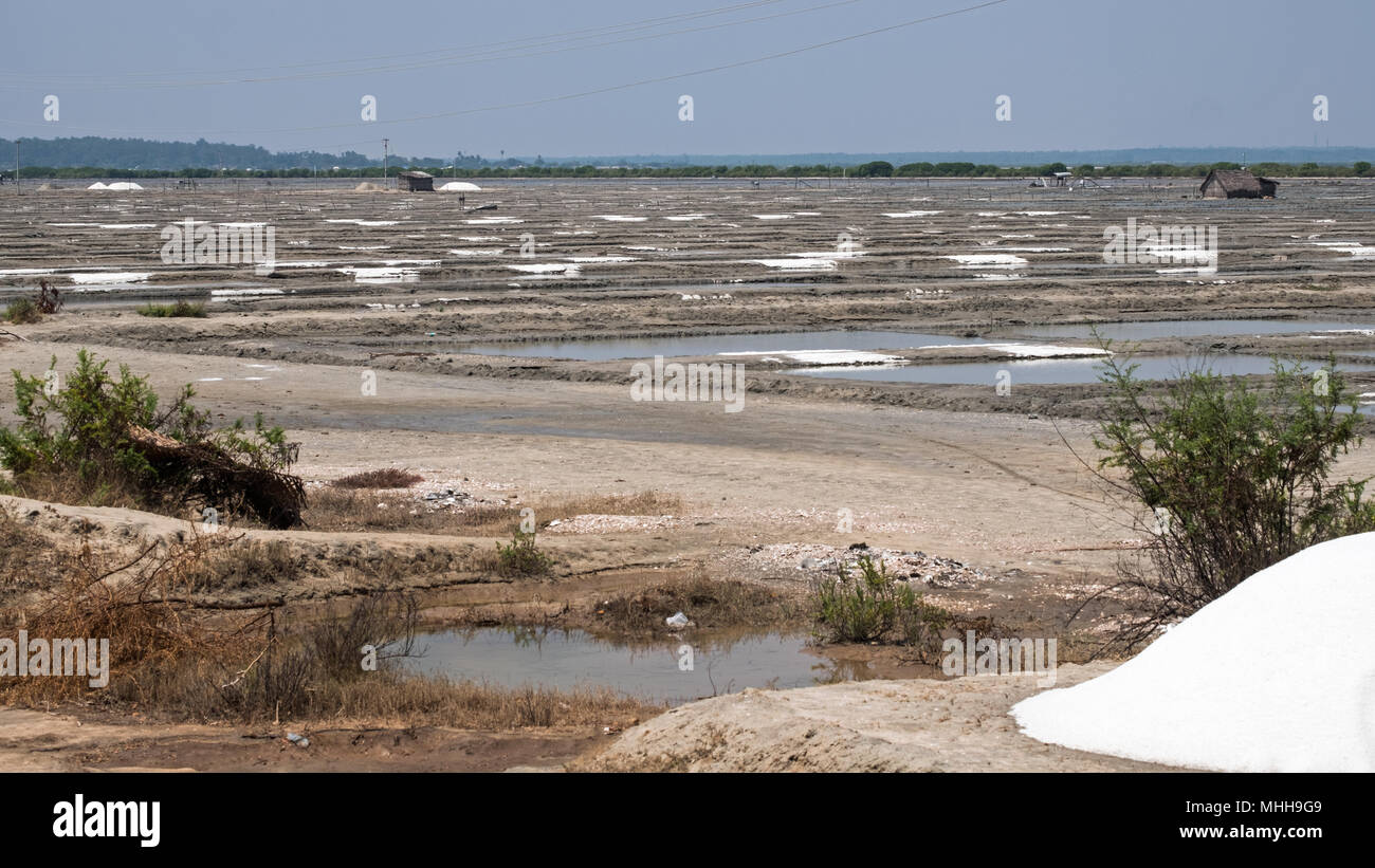 Haufen von Salz trocknen am Rand der Gruben in Tamil Nadu, Indien. Das Land ist einer der weltweit führenden Salzproduzenten Stockfoto