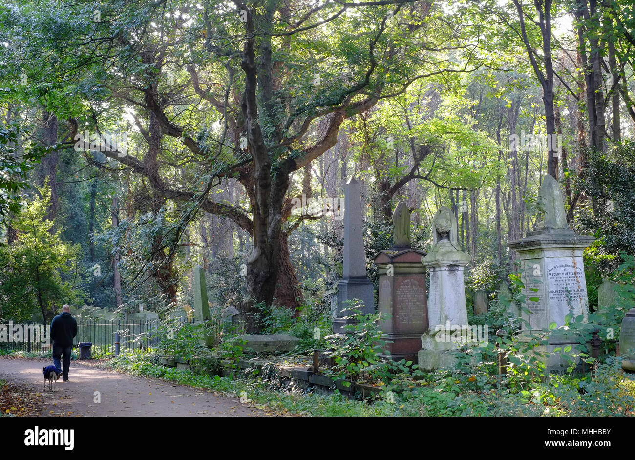 Ein Mann, der seinen Hund im Frühjahr, Tower Hamlets Friedhof Park, Mile End, East London UK. Einer der glorreichen Sieben Grand Victorian Grabstätten. Stockfoto