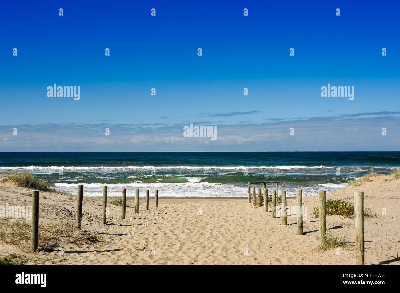 Weg in die Wellen, Seven Mile Beach, NSW, Australien. Schöne Seascape, sandigen Weg durch die Dünen, aquamarinblauen Wasser, weissen Surf, deep blue sky Stockfoto