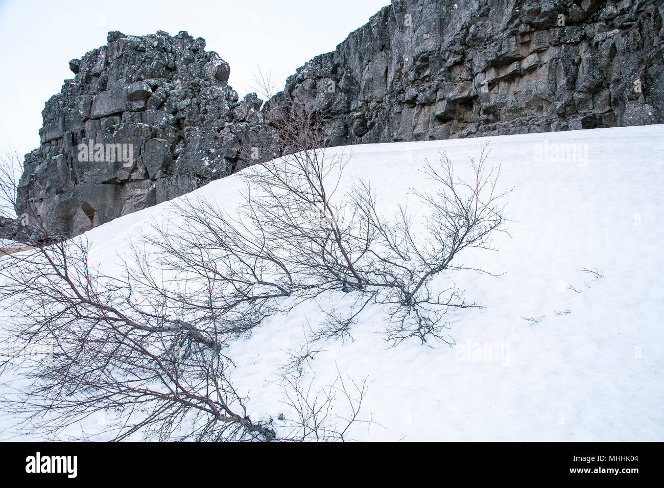 Winter im Nationalpark Thingvellir, Island. Nahaufnahme des Rift valley Felsen und starker Schneefall Stockfoto
