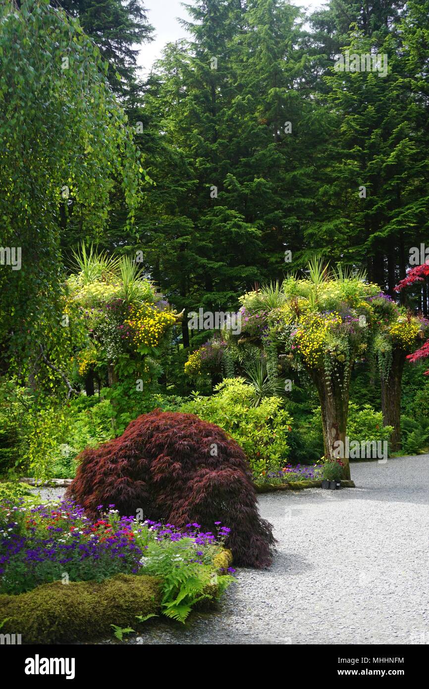 Juneau, Alaska: Gletscher Gärten, ein botanischer Garten in den Tongass National Forest, verwendet invertiert Baumstämme als Pflanzer für eine Vielzahl von Blumen. Stockfoto