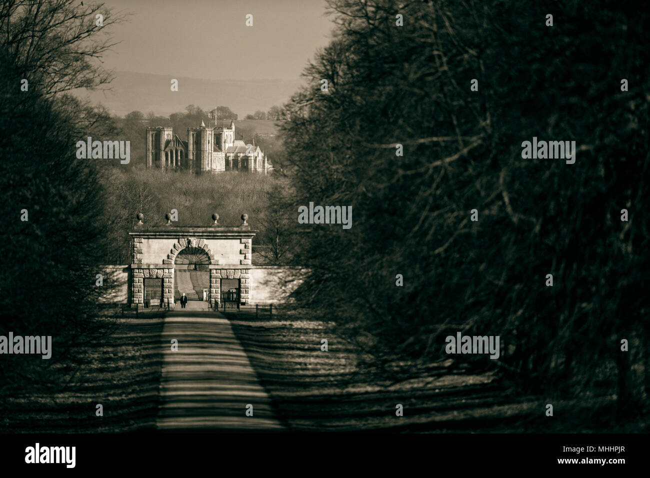 Ripon Cathedral aus Studie Royal auf der Avenue gesehen Stockfoto