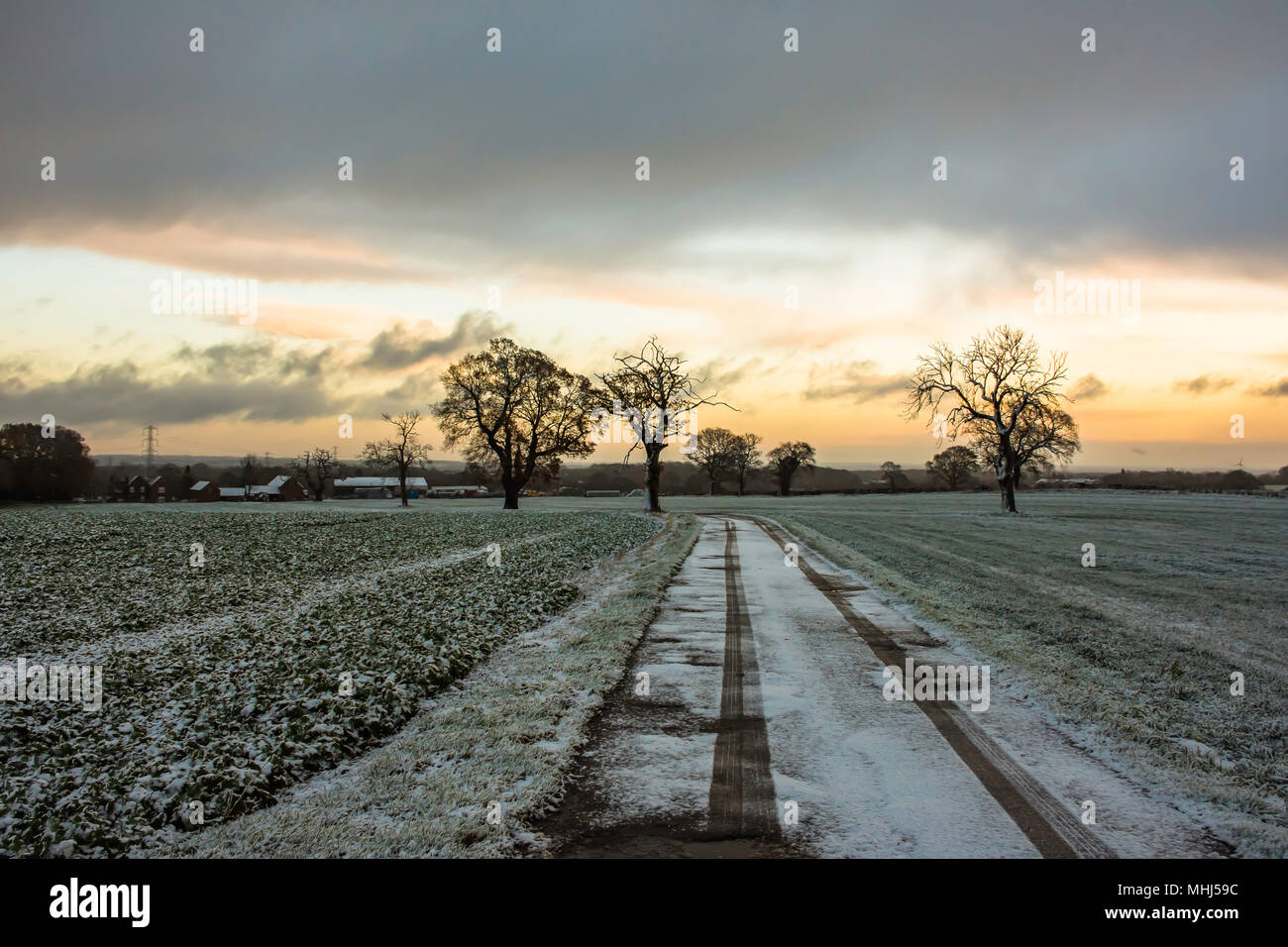 Sonnenaufgang über Staffordshire Felder im Winter. Lichfield, Großbritannien. Bäume, Felder bedeckt mit Frost und die dramatischen, dunklen Himmel mit Wolken bei Sonnenaufgang. Stockfoto