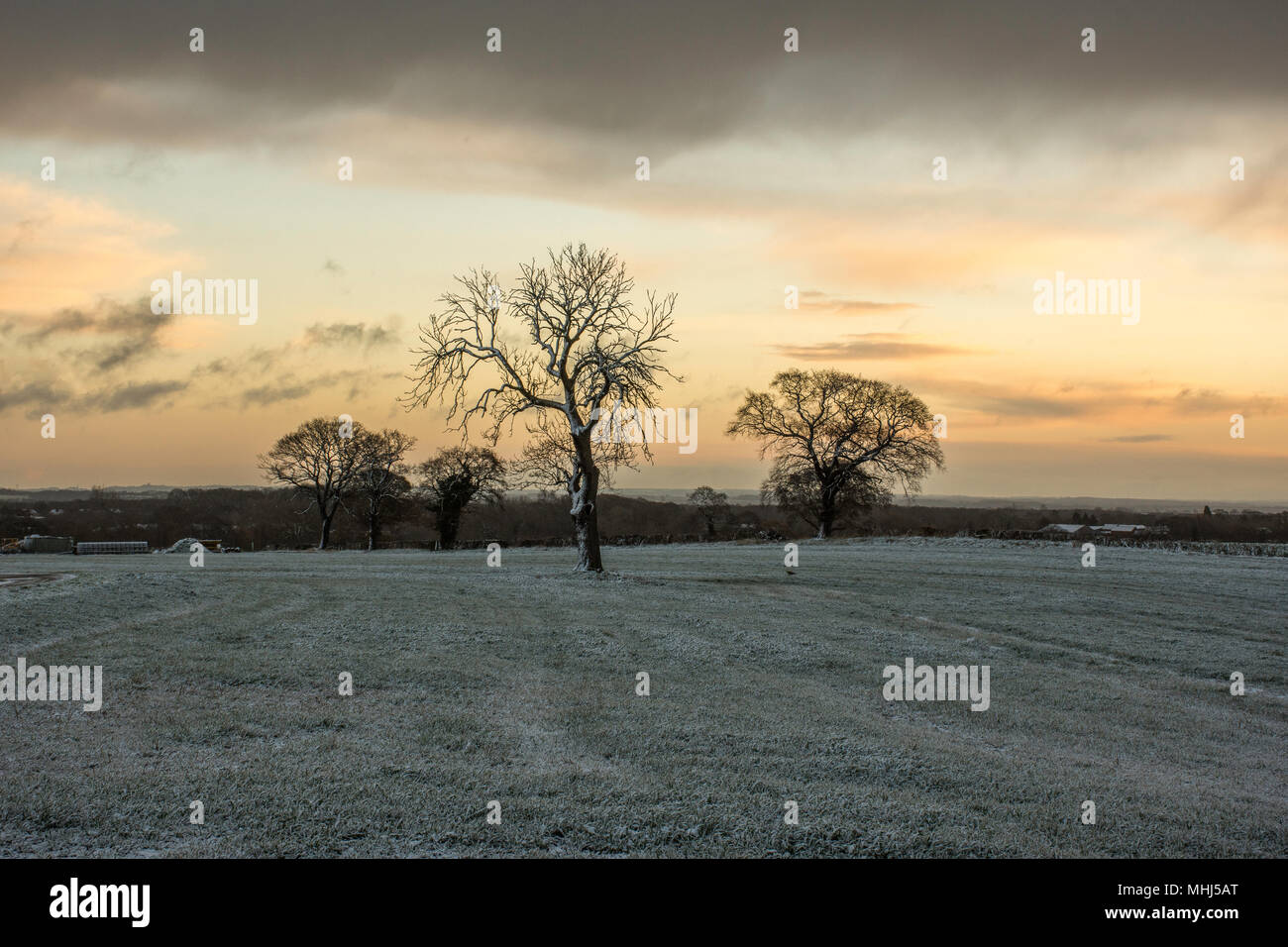 Sonnenaufgang über Staffordshire Felder im Winter. Lichfield, Großbritannien. Bäume, Felder bedeckt mit Frost und die dramatischen, dunklen Himmel mit Wolken bei Sonnenaufgang. Stockfoto
