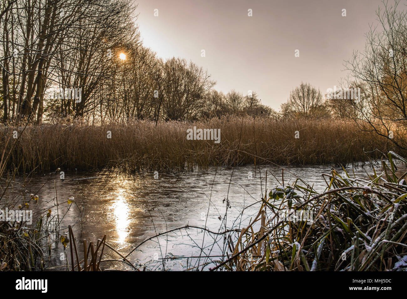 Westport See im Winter Tag.-on-Trent, Staffordshire, Großbritannien. Sun Reflexion in gefrorenen Teich. Staffordshire Landschaft uk. Ruhe, schöner Morgen schüren. Stockfoto