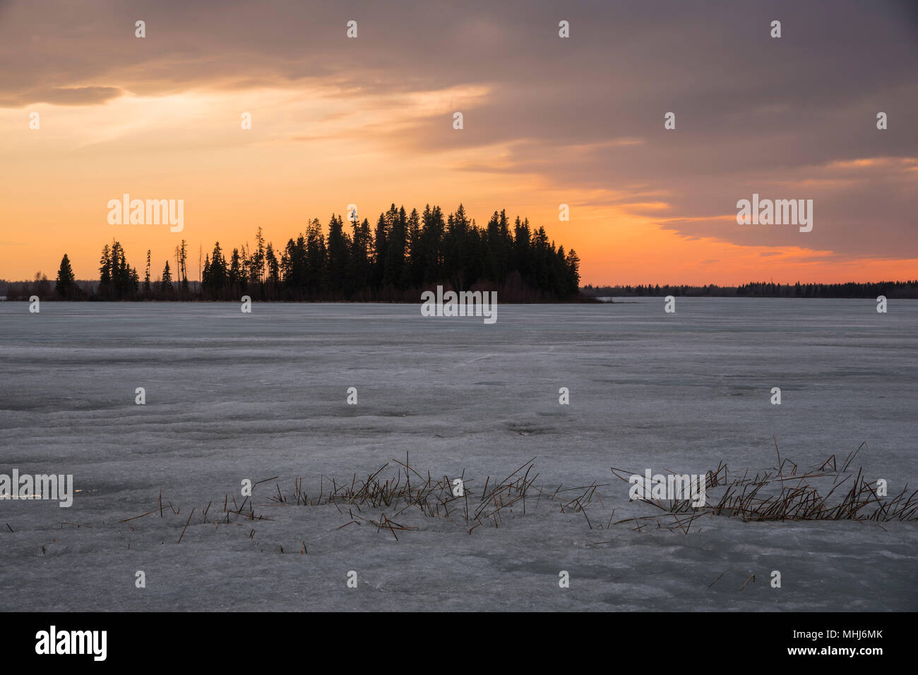 Gefrorenen See, Astotin See Sonnenuntergang, Elk Island National Park, Alberta, Kanada Stockfoto