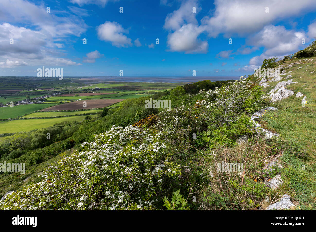 Warton Crag, Lancashire, UK Stockfoto