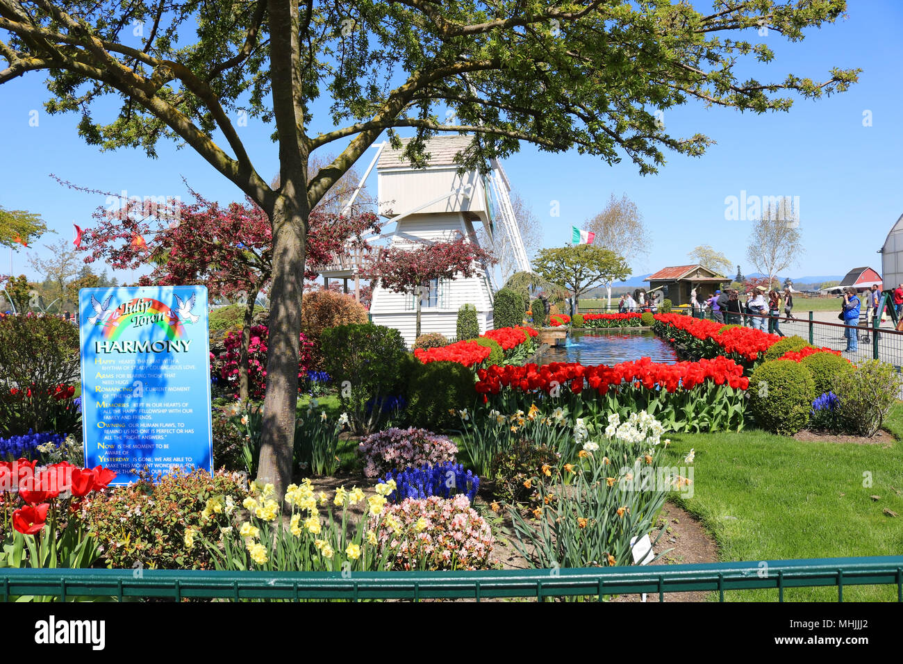 Gärten im Tulip Stadt während der skagit Valley Tulip Festival in Mount Vernon, Washington, USA. Stockfoto