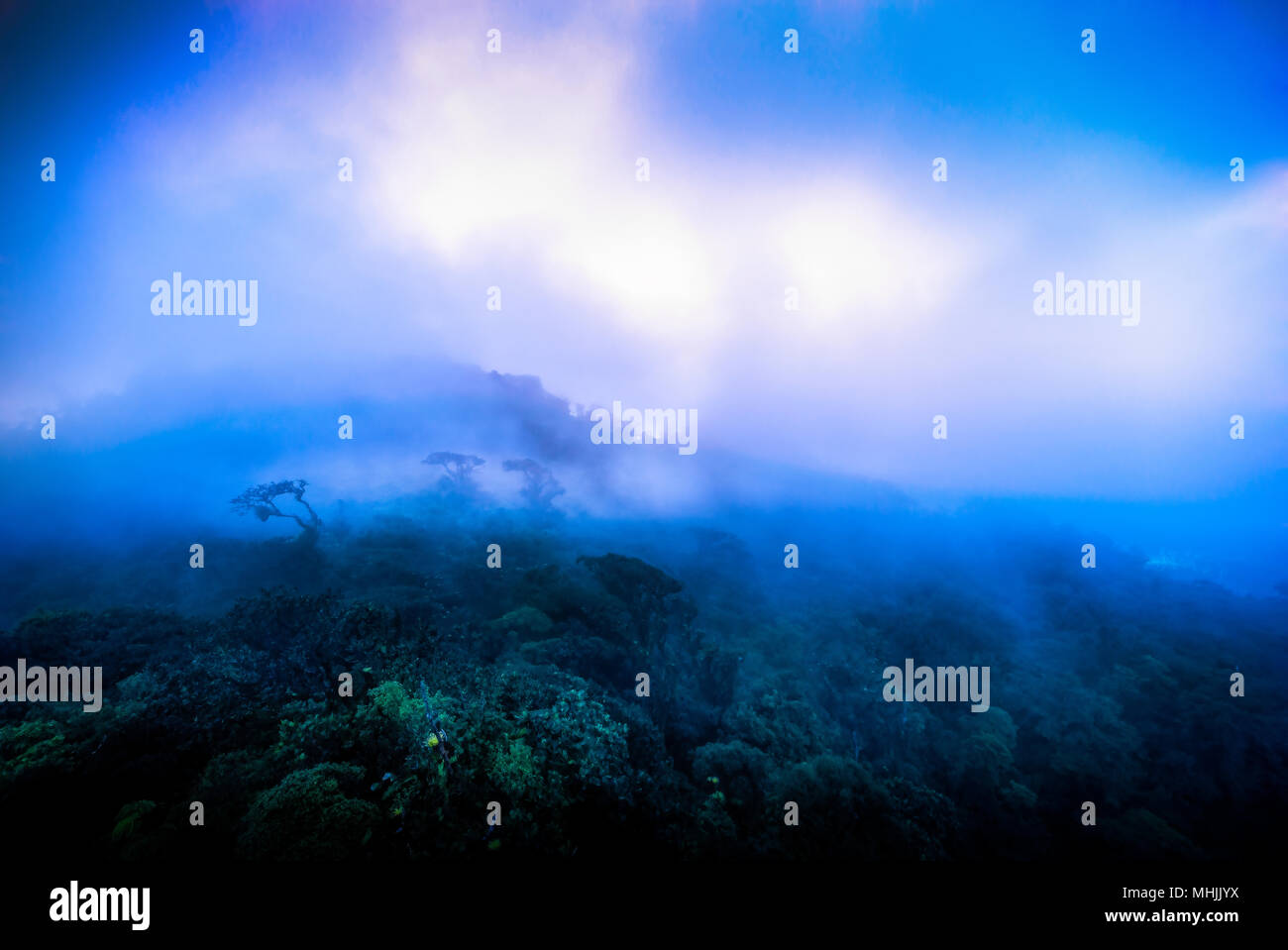 Panama Landschaft Stockfoto