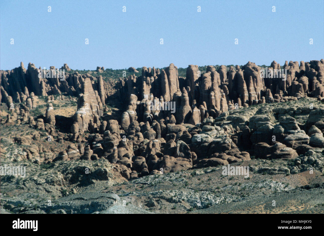 Der lange, Nadel-wie Säulen aus Sandstein bilden sowohl das Labyrinth Andy die Nadeln Abschnitte des Canyonland National Parks in Utah. Stockfoto