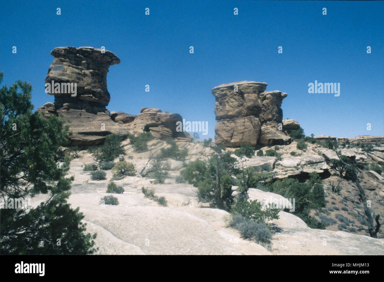 Säulen der Fels, der Elefanten Füße ähneln sind Teil der einzigartigen Geologie des Canyonlands National Park in Utah. Stockfoto