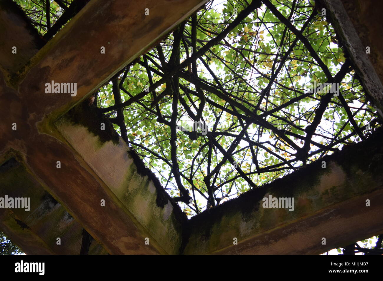 Besuch des botanischen Gartens in Bogotá Stockfoto