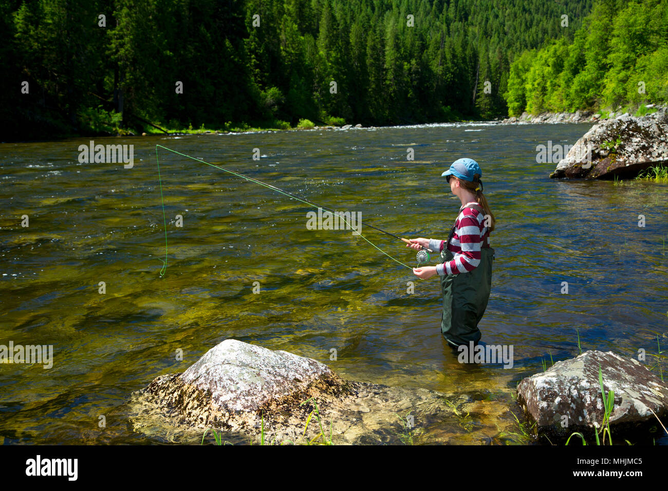 Fliegenfischen, Lochsa Wild and Scenic River, Nordwestpassage Scenic Byway, Clearwater National Forest, Idaho Stockfoto