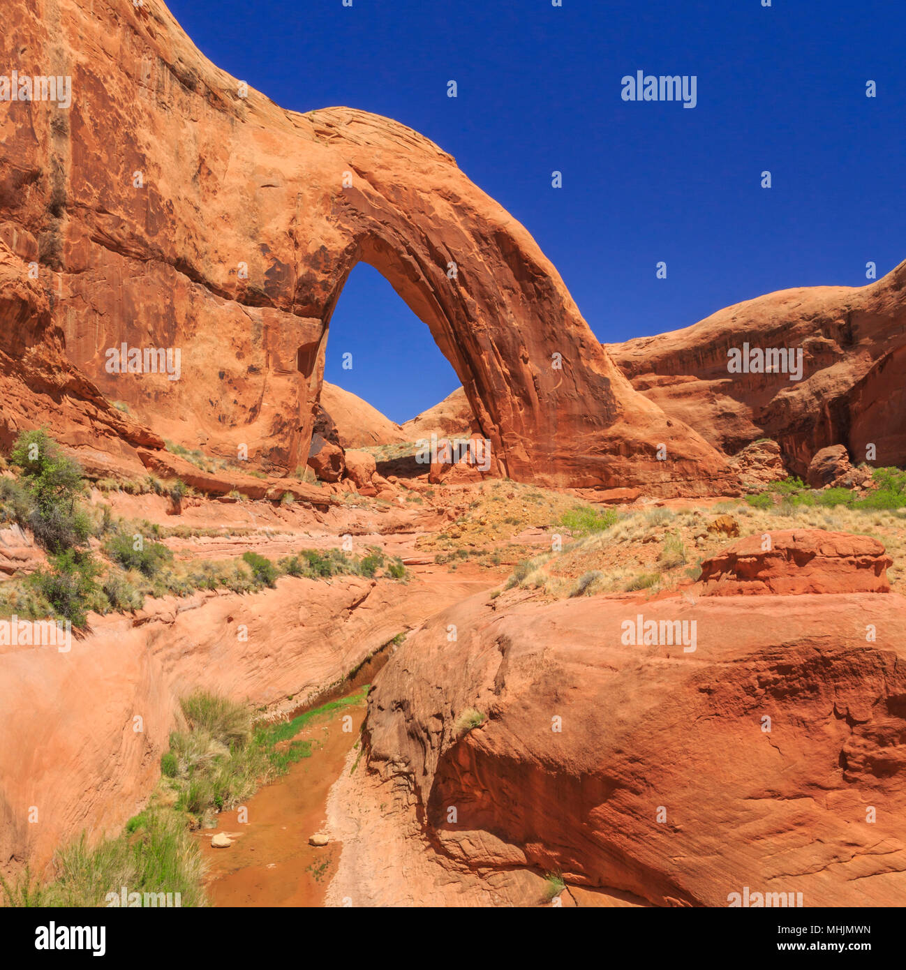 Broken Bow arch in der Glen Canyon National Recreation Area in der Nähe von Escalante, Utah Stockfoto
