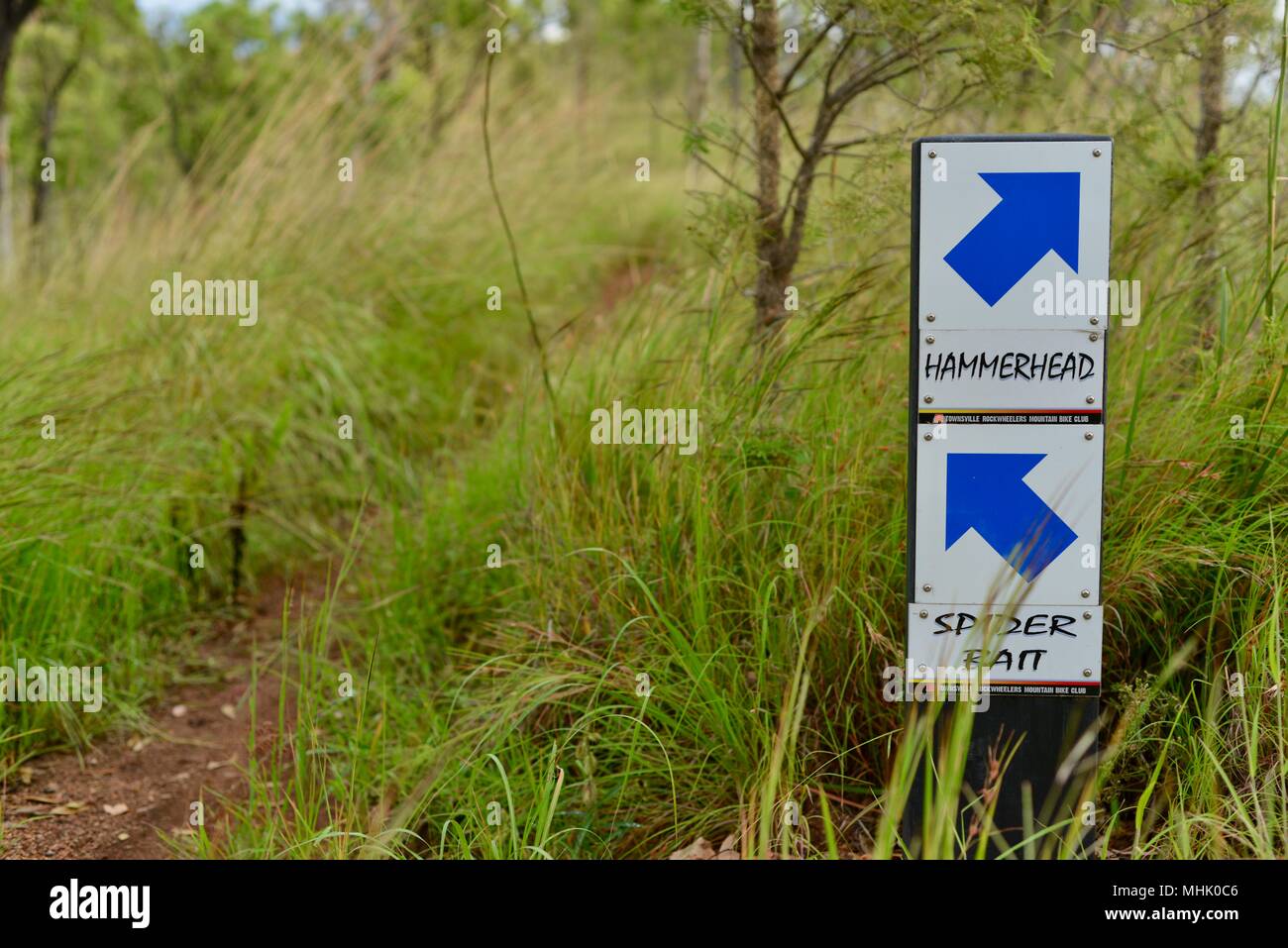 Hammerhead und Spider bait Mountainbike-strecke Zeichen, Mount Stuart Wanderwege, Townsville, Queensland, Australien Stockfoto