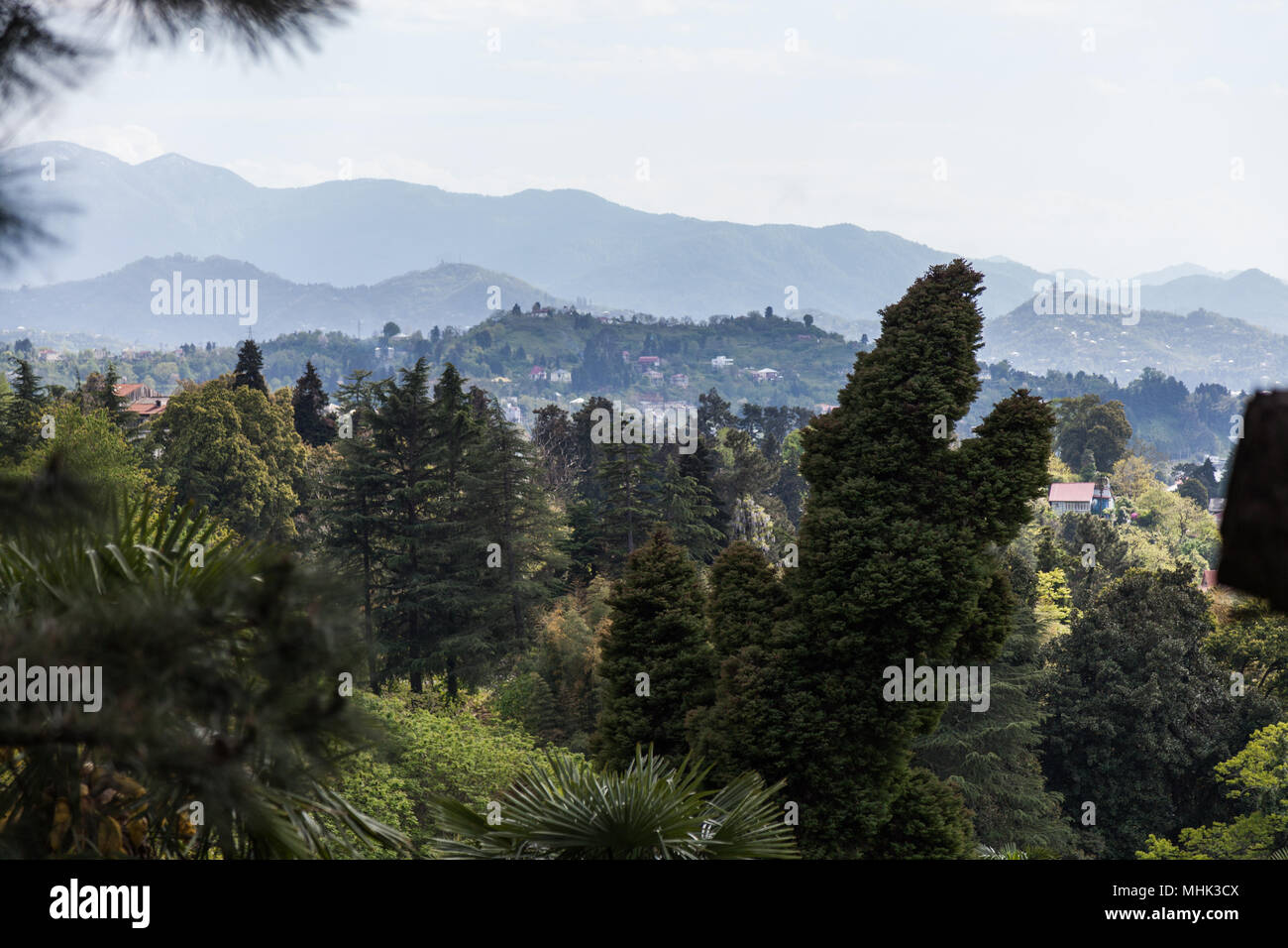 Batumi botanischer garten Fotos und Bildmaterial in hoher Auflösung