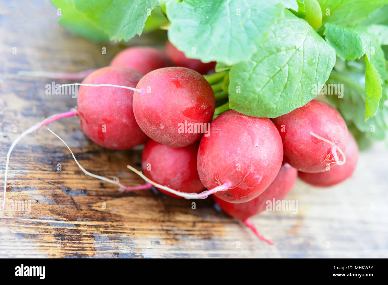Gesund Zutat eines Salat - frische organische Radieschen mit Trauben auf einer hölzernen rustikalen Tisch in Nahaufnahme Stockfoto