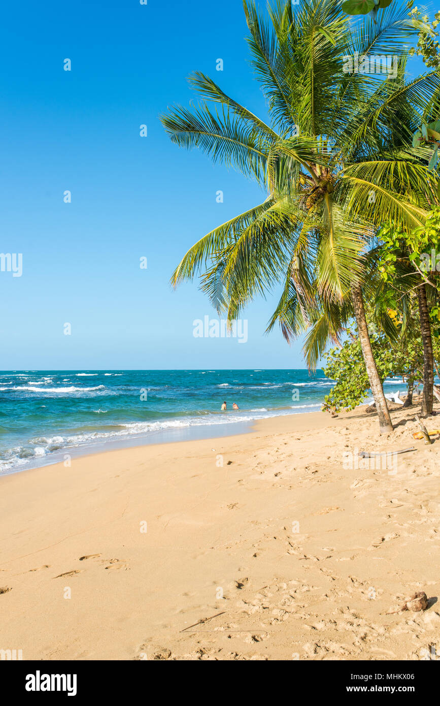 Punta Uva-Strand in Costa Rica, wilden und schönen karibischen Küste Stockfoto