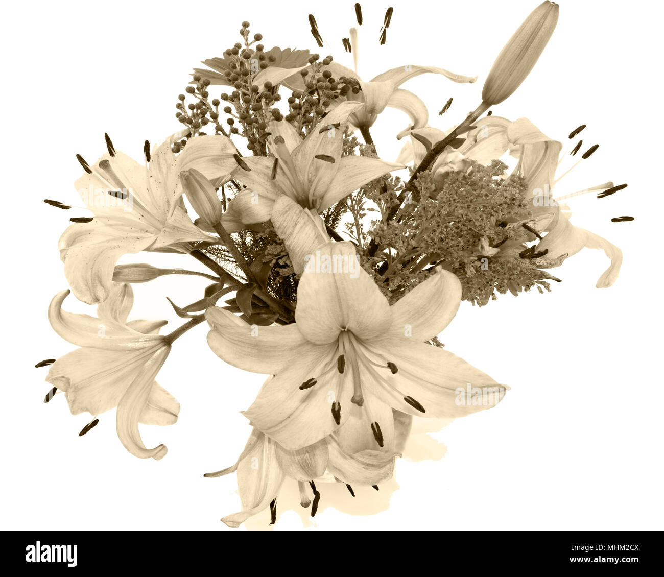 Blumenkunst Stockfoto