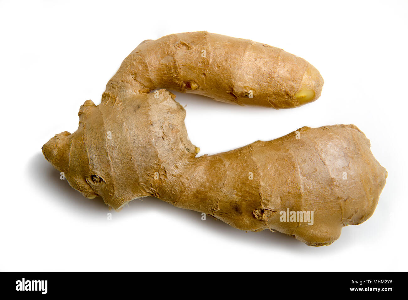 Reifer Ingwer Wurzel Stockfoto