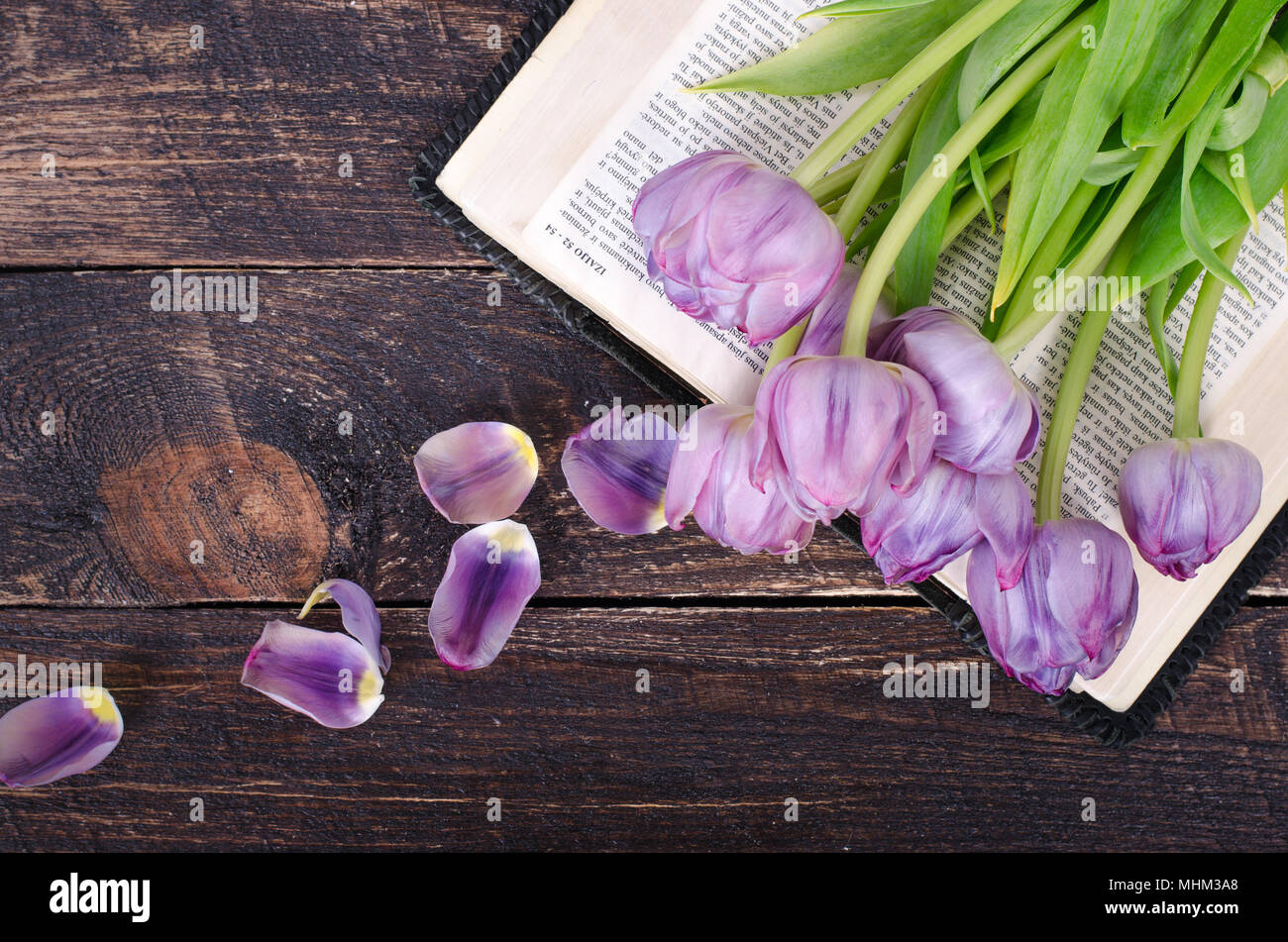 Violett Tulpen, Blüten, Buch auf Holz- Hintergrund. Vintage und Retro Style. Stockfoto