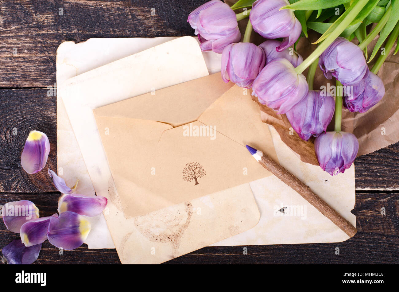 Violett Tulpen und vintage Papier, Bleistift auf einem hölzernen Hintergrund. Freier Platz für Ihren Text Stockfoto