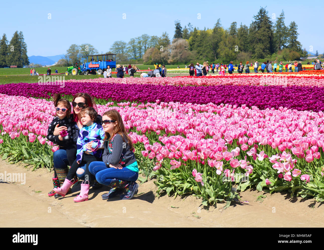 Mutter und ihre Kinder für Bilder im Tulip Stadt während der skagit Valley Tulip Festival in Mount Vernon, Washington, USA. Stockfoto