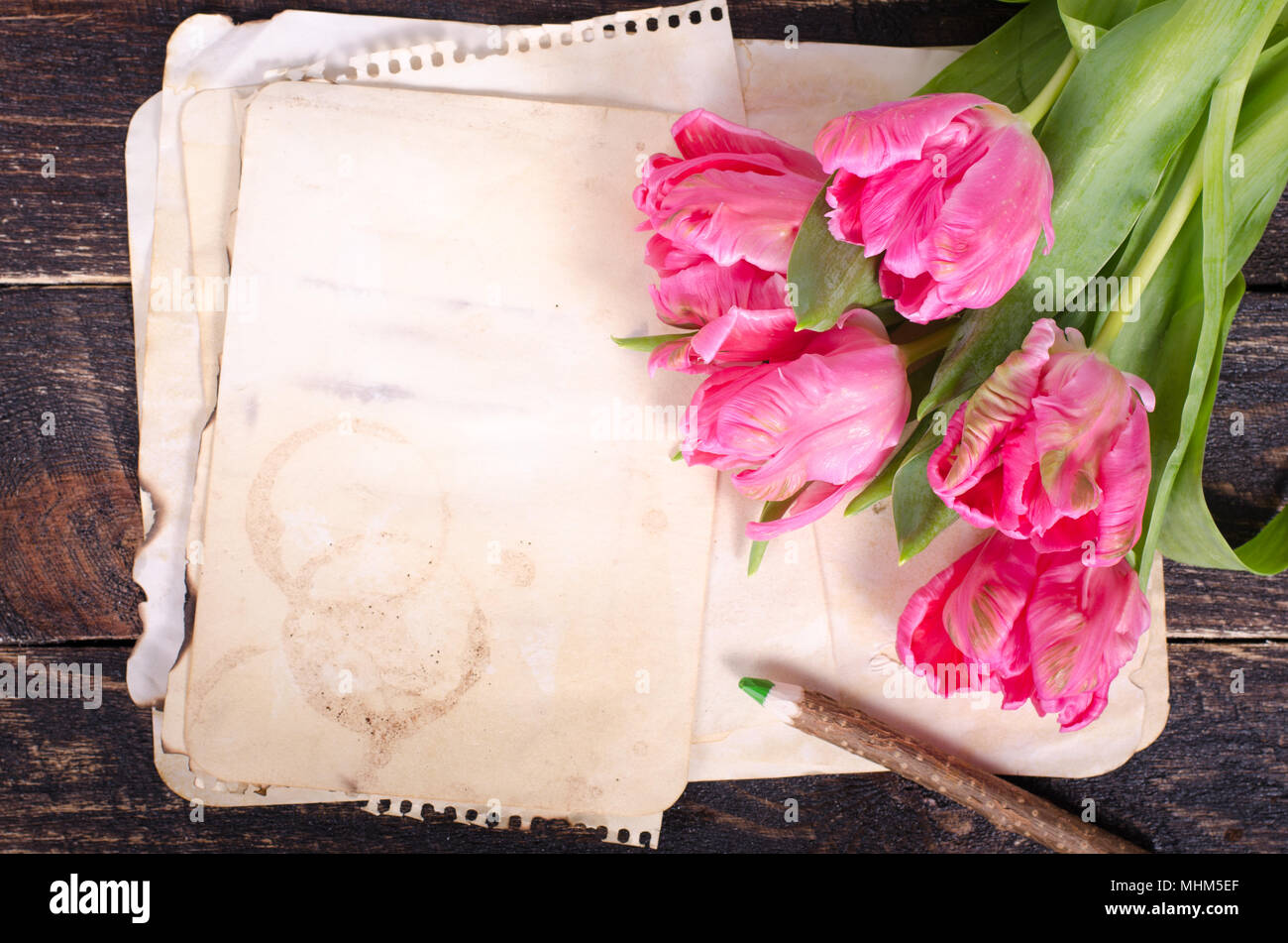 Rosa Tulpen und vintage Papier, Bleistift auf einem hölzernen Hintergrund. Freier Platz für Ihren Text Stockfoto