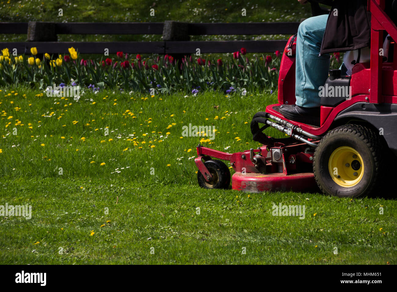 Nahaufnahme einer Reitschule Gärtner auf der Rasenmäher schneiden das Gras Stockfoto