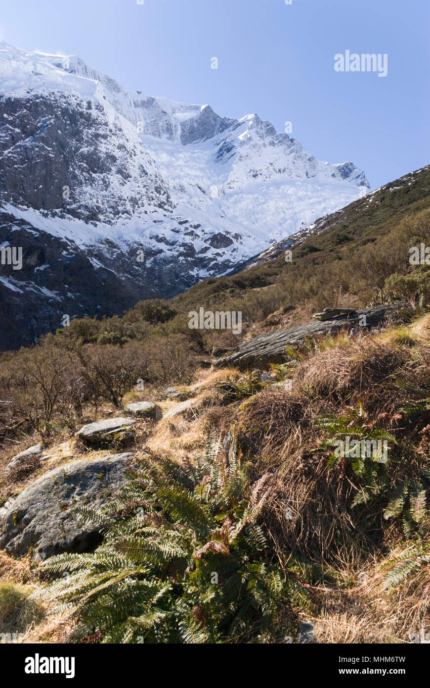 Rob Roy Gletscher Stockfoto