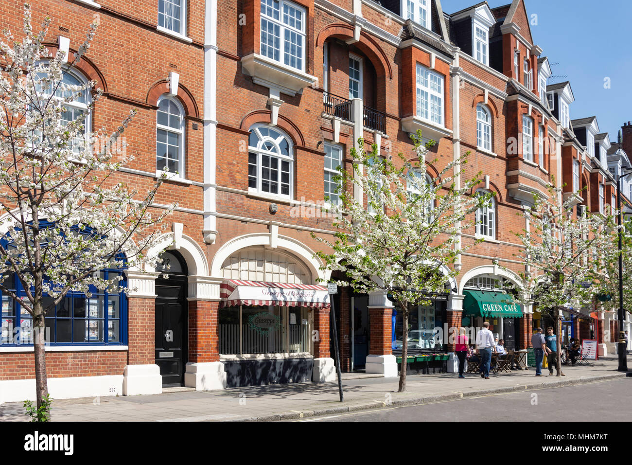 Straße im Frühjahr, Eccleston Road, Belgravia, Westminster, London, England, Vereinigtes Königreich Stockfoto