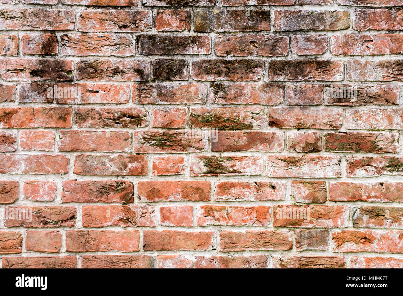 Hintergrund Textur - Old Brick, gewürzt Bard, mit Farbe und interessante Zeilen. Zimmer für Text, Inspiration, und Tiefe auf ihre Kreationen. Stockfoto
