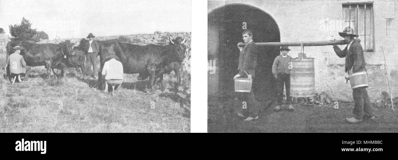 MASSIF CENTRAL. Sur Hauts Paturages. Traite Transport du Lait Buron 1900 Drucken Stockfoto