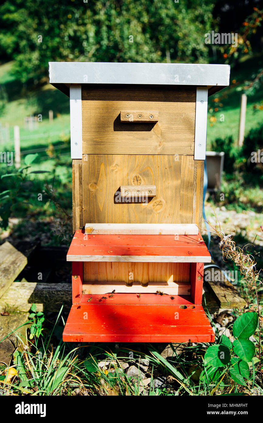 Holzrahmen Bienenstock in der Organischen Garten an einem sonnigen Tag Stockfoto