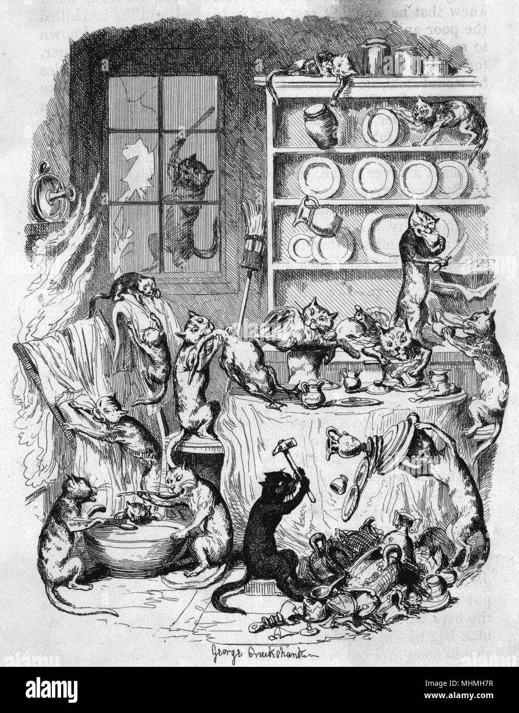 DIE KATZE HAT ES GETAN Stockfoto